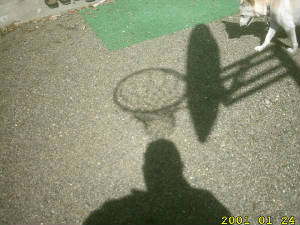 dog-basketball-using-shadows.jpg
